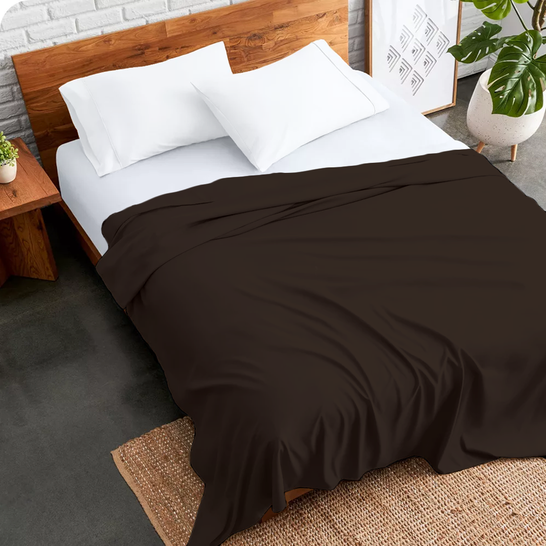 Chocolate Flat Bed Sheet Only