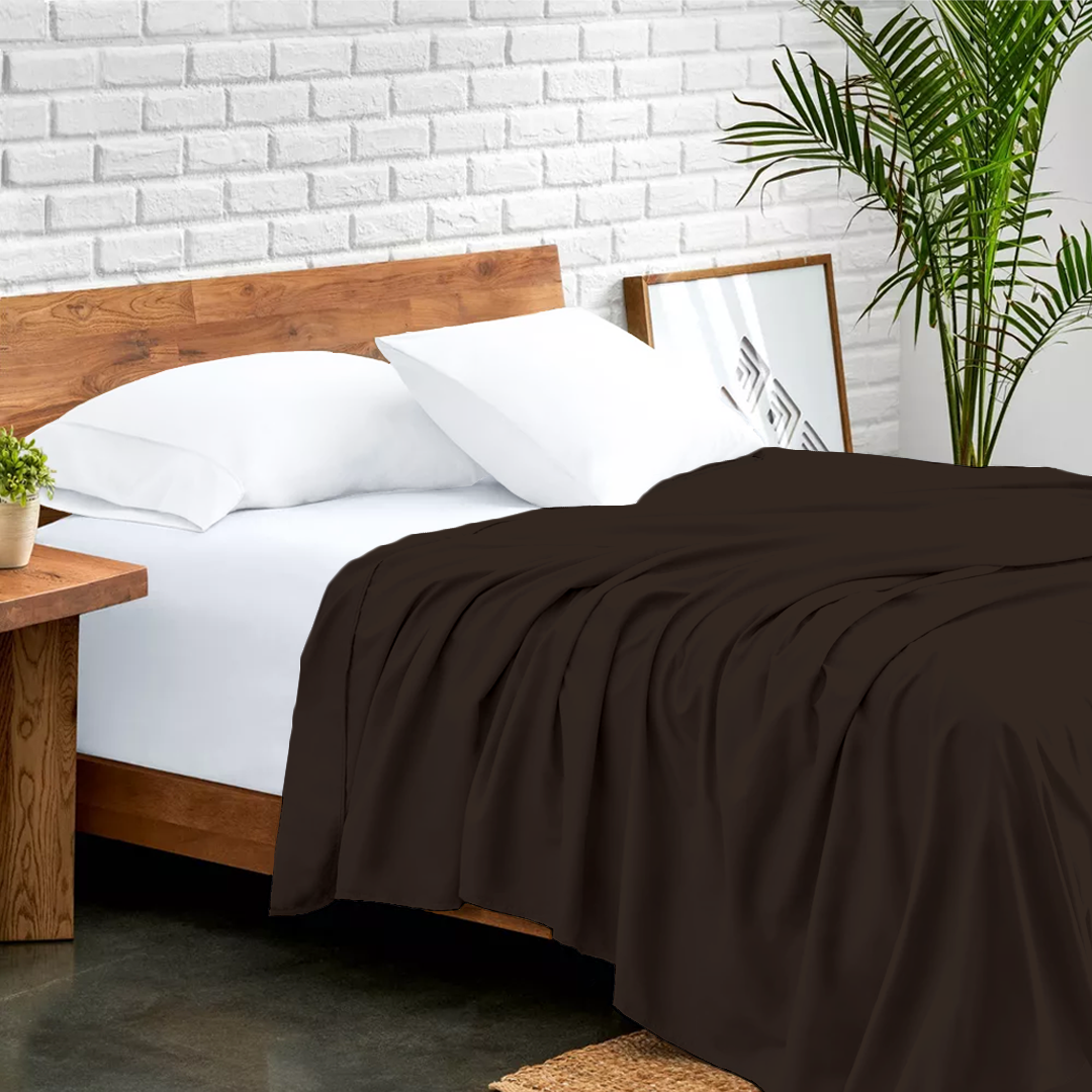 Chocolate Flat Bed Sheet Only